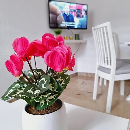 Olea 마카르스카