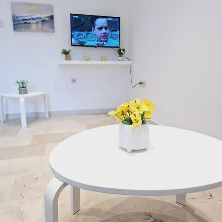 Olea * 마카르스카