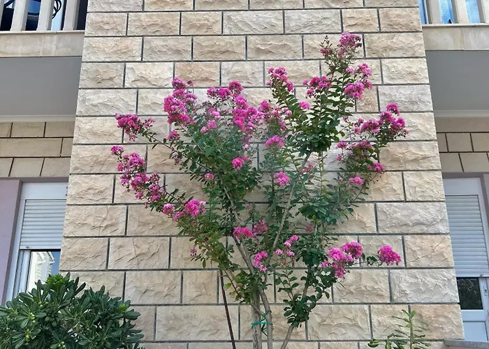 Olea Apartment
