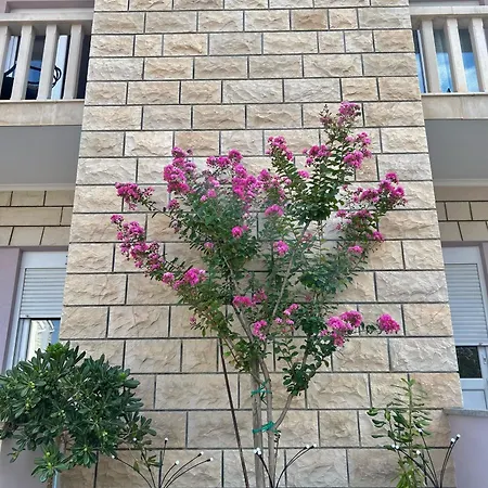 Olea Apartment