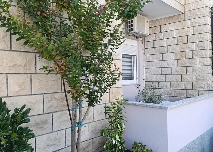 Olea * Makarska